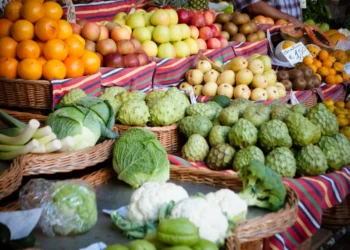 “La importancia de la diversión en la vida”