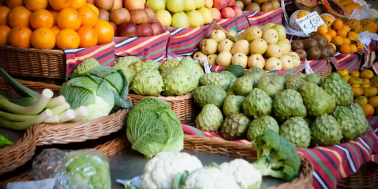 “La importancia de la diversión en la vida”