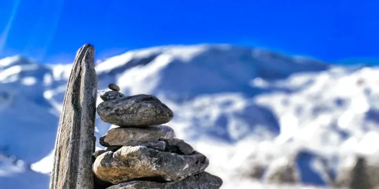 “La importancia de la salud en nuestra vida”