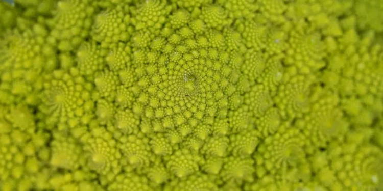 “La importancia de la resiliencia en nuestra vida”