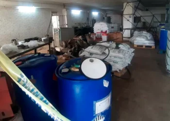 Mexicanos detenidos en redada contra enorme laboratorio de metanfetamina en Sudáfrica