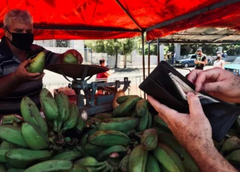 “El Papel de los Expertos en Economía: Impulsando el Crecimiento”