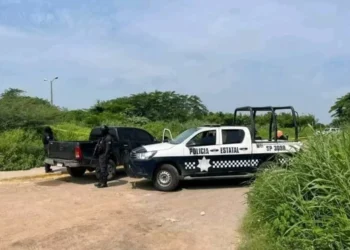Veracruz: autoridades investigan hallazgo de cadáveres dentro de ambulancia