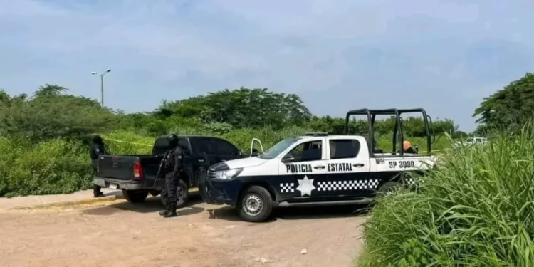 Veracruz: autoridades investigan hallazgo de cadáveres dentro de ambulancia