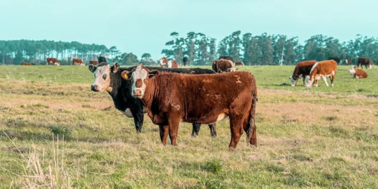 “La economía: altibajos y esperanza”
