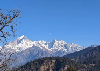 “La Importancia de Cultivar la Felicidad Diaria”
