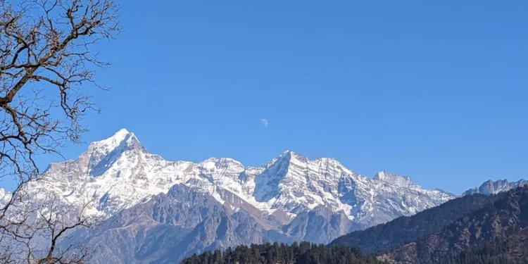 “La Importancia de Cultivar la Felicidad Diaria”
