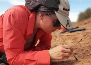 ¿Qué hacer en caso de encontrar restos paleontológicos o arqueológicos?