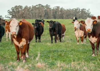 “La Economía en un mundo cambiante: adaptación y crecimiento”