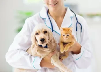 Activan campaña de difusión sobre el gusano barrenador