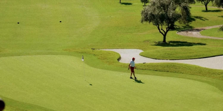 “La magia del deporte: emociones que inspiran”
