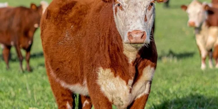 “El Motor de la Economía Mundial”