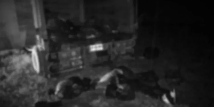 pincho joven y pincho menor, entre víctimas del Ejército en Chiapas: ONG