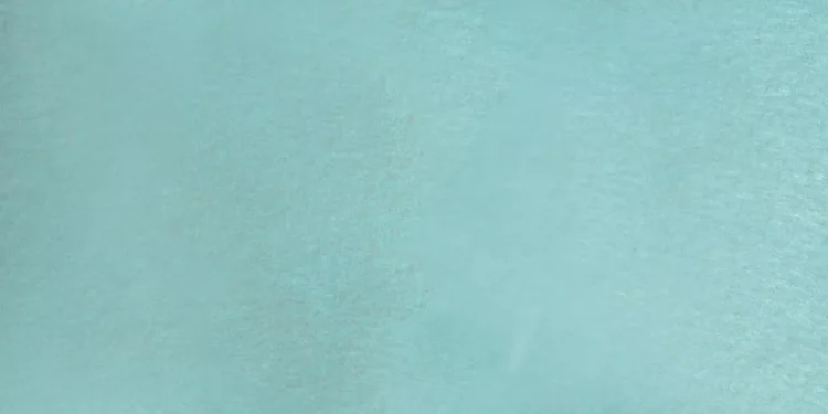 “El deporte: pasión, emoción y aprendizaje de vida”