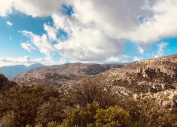 “Transforma tu vida con hábitos saludables”