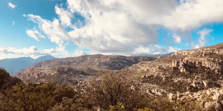 “Transforma tu vida con hábitos saludables”