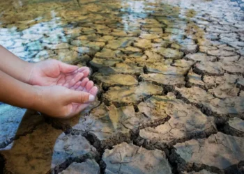 México buscará restaurar 150 millones de hectáreas para amarrar su suministro de agua: Semarnat