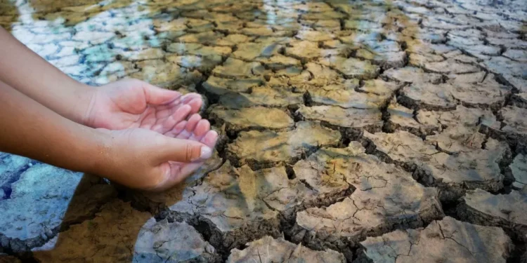 México buscará restaurar 150 millones de hectáreas para amarrar su suministro de agua: Semarnat