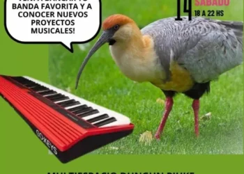 Invitan a conocer a los finalistas de la primera edición de la Copa laúd