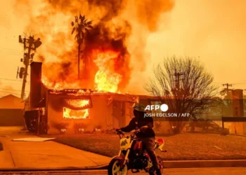 Daños por incendios en Los Ángeles superarían 30 mil mdd