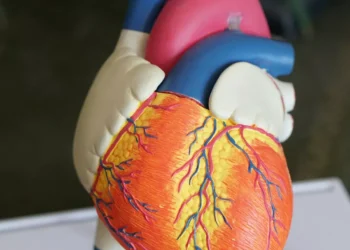 “La felicidad, clave para una vida plena”