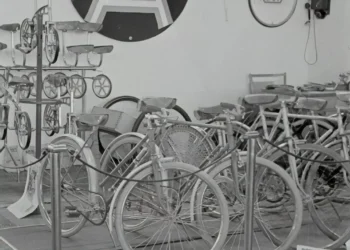 La Economía: Clave para el Desarrollo y Estabilidad Social