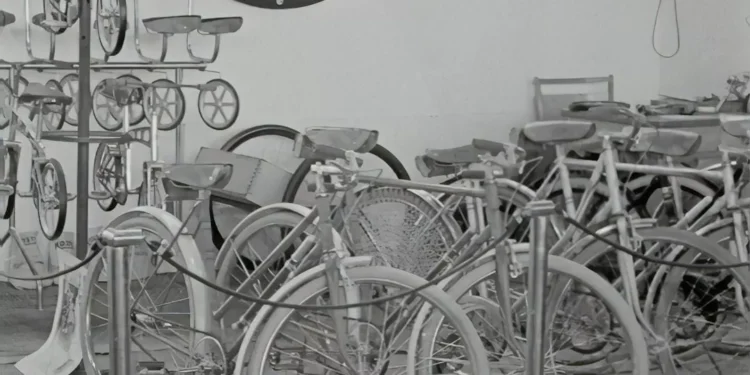 La Economía: Clave para el Desarrollo y Estabilidad Social