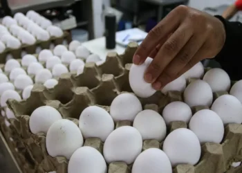 Bajan las frutas y verduras… pero suben huevo y carne