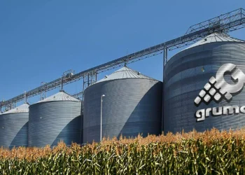 Gruma reporta utilidades récord en 2024