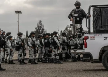 Decomisan drogas y armas por casi 400 mdp en distintos operativos