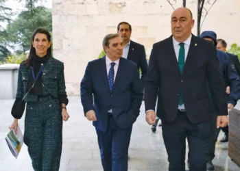 Movilidad lanza un ‘gemelo digital’ para la información vial