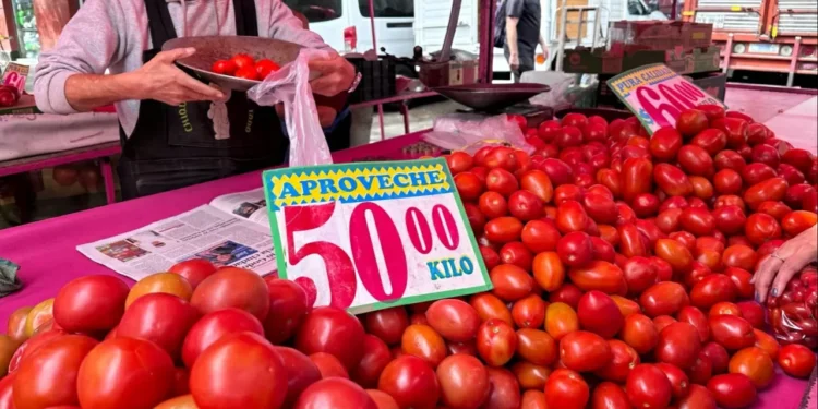 Profeco llama a aprovechar temporada de jitomate