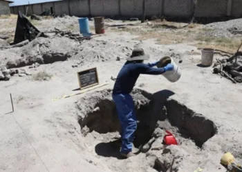 Teuchitlán | No hay autoridad que no tenga responsabilidad: Alejandra Guillén