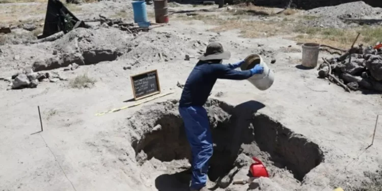 Teuchitlán | No hay autoridad que no tenga responsabilidad: Alejandra Guillén