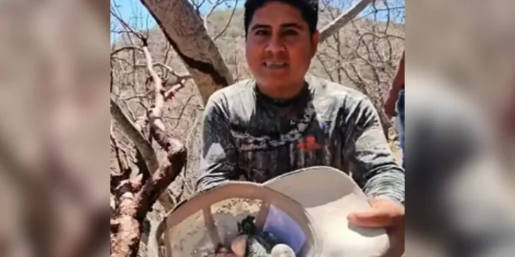 Profepa denuncia a ‘Luis Mi Padre Hermoso’ por rapiñar nido de pericos en peligro de extinción