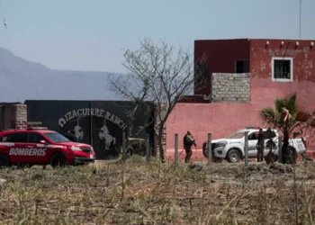 Caso Teuchitlán | Barra Mexicana de Abogados repulsa hallazgo de crematorios y fosas clandestinas