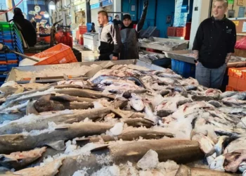 La Nueva Viga estima ventas por 96 mdp diarios estos días