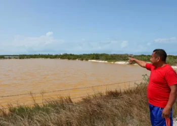 Yucatán | Campesinos denuncian que garbo de agua potable pone en peligro manglares