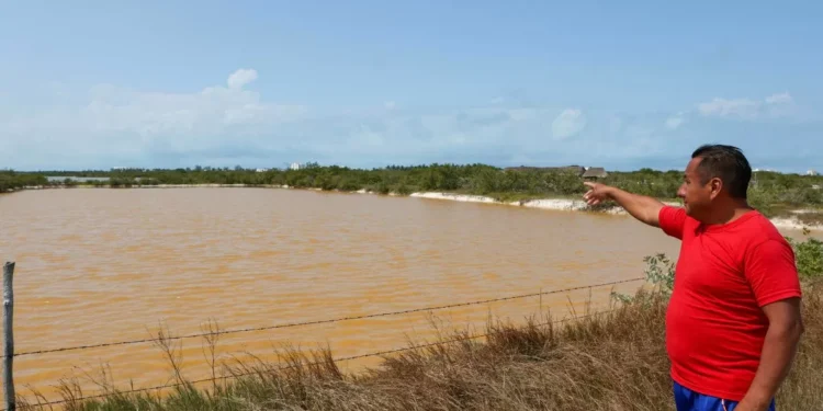 Yucatán | Campesinos denuncian que garbo de agua potable pone en peligro manglares