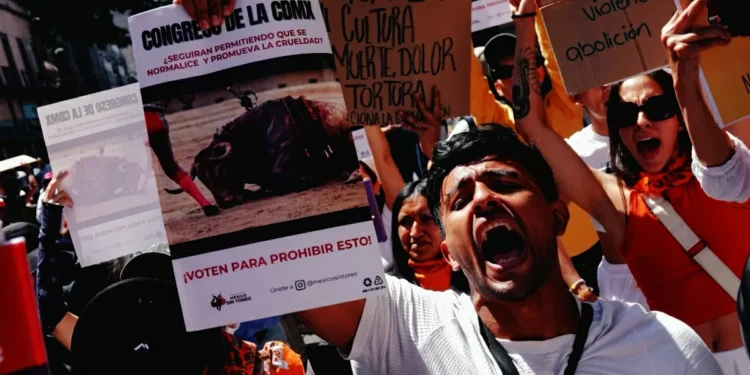 Avanza en Congreso de CDMX dictamen de corridas de toros sin violencia