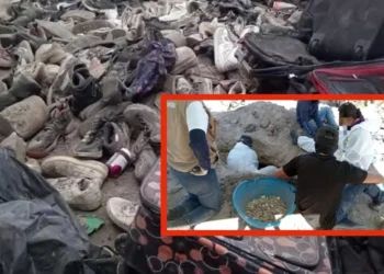 Teuchitlán | AI urge a México ‘a habilitar de los recursos necesarios’ para esclarecer casos en campos de exterminio