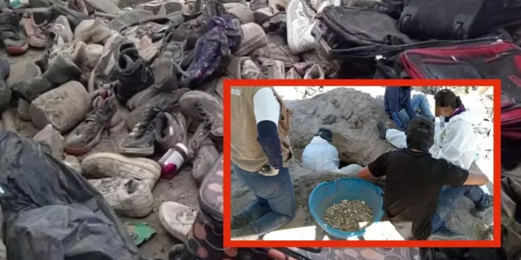 Teuchitlán | AI urge a México ‘a habilitar de los recursos necesarios’ para esclarecer casos en campos de exterminio