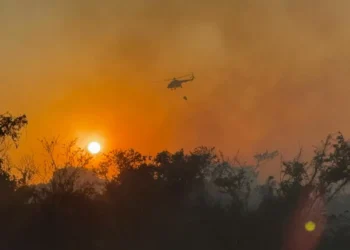 Sofocan incendio en el Aeropuerto Internacional de Acapulco