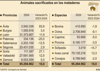 Los mataderos alcanzan el récord de 95 millones de sacrificios