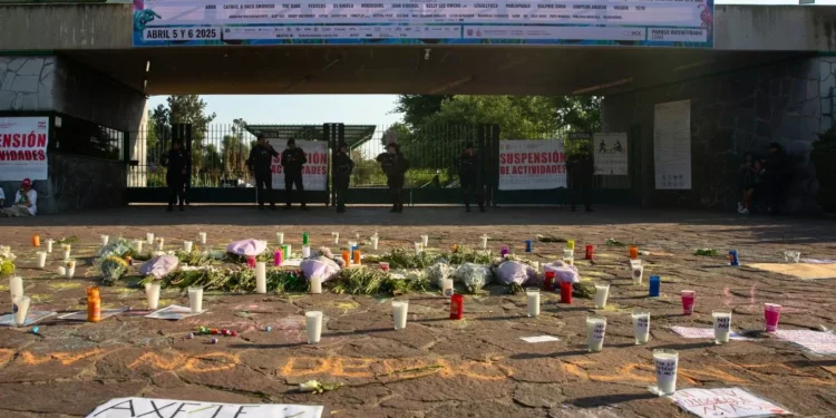 Axe Ceremonia | Fiscalía CDMX va por empresas y autoridades responsables