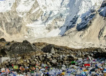 “Preservando nuestro planeta: acciones y proyectos positivos”