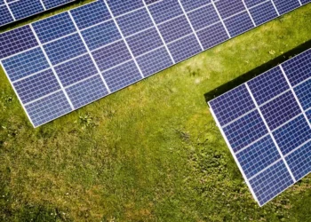 “La importancia de cuidar el Medio ambiente”