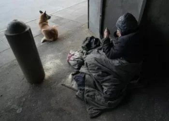 La pobreza bajó al 38,1% de la población en el segunda vez semestre de 2024