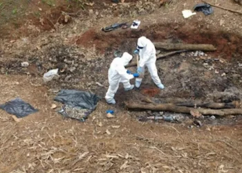 Activan por primera tiempo en México procedimiento de ONU para crisis de desaparecidos