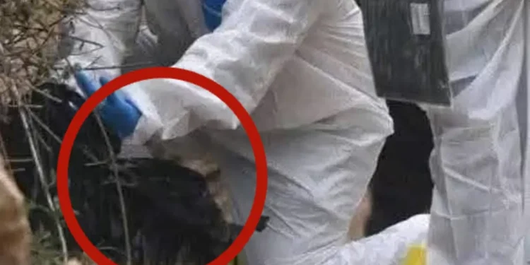 Chiapas | Encuentran a un recién nacido sin biografía en un basurero de Comitán